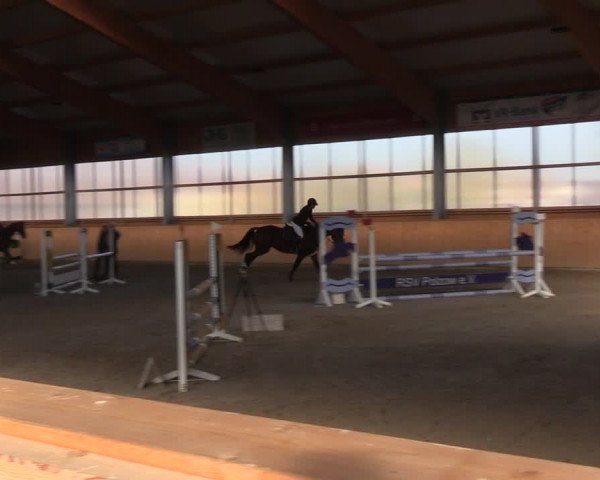 Reitturnier Polzow 2021