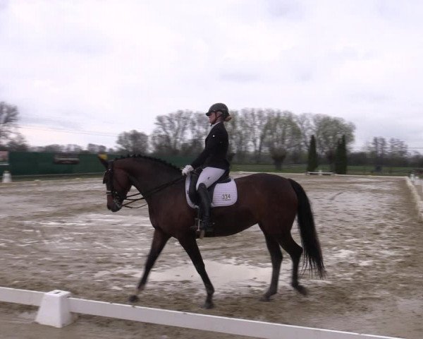 Reitturnier Wutzetz 2023