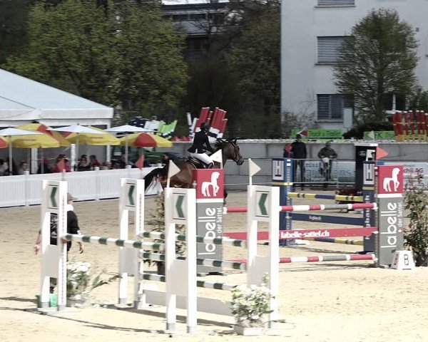 Reitturnier Amriswil 2023