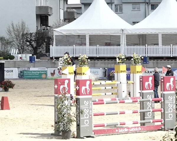 Reitturnier Amriswil 2023