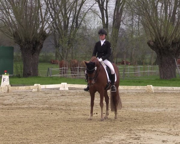 Reitturnier Wutzetz 2023