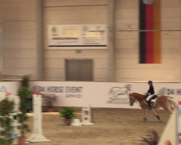 Reitturnier Prussendorf 2021