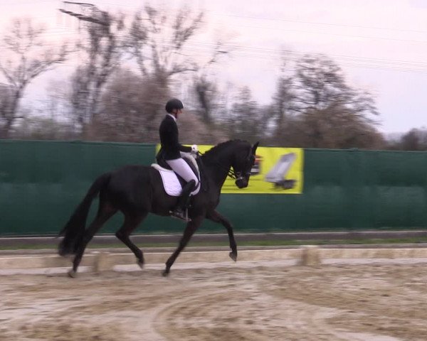 Reitturnier Wutzetz 2023