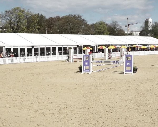 Reitturnier Amriswil 2023