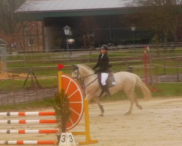 Reitturnier Wutzetz 2023