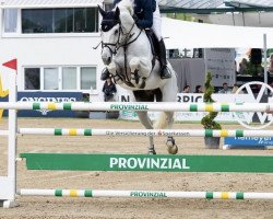 jumper Calimero P (Westphalian, 2006, from Cornet Obolensky)