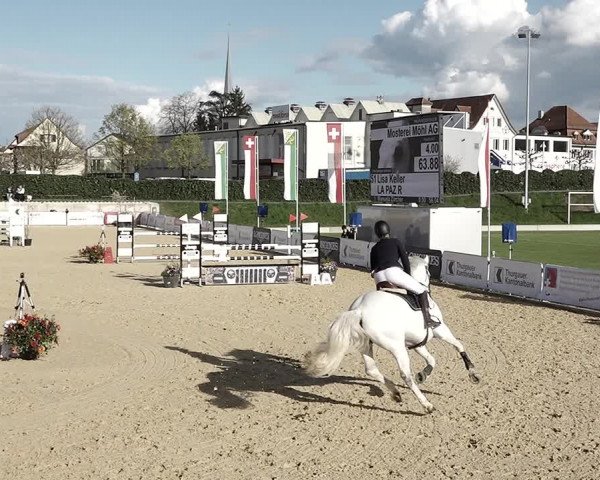 Reitturnier Amriswil 2023