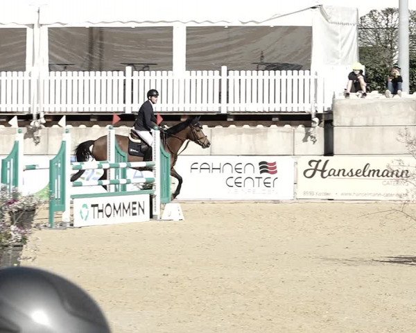 Reitturnier Amriswil 2023