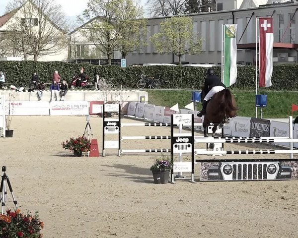 Reitturnier Amriswil 2023