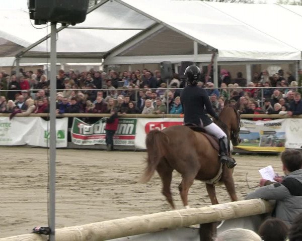 Reitturnier Werne-Lenklar 2023
