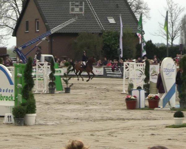 Reitturnier Werne-Lenklar 2023