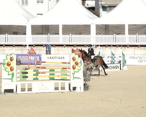 Reitturnier Amriswil 2023