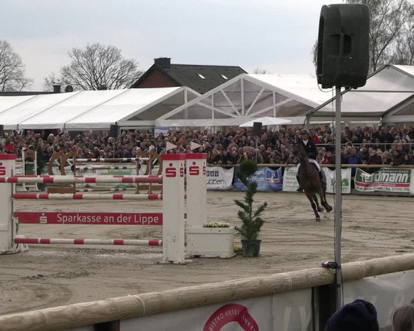 Reitturnier Werne-Lenklar 2023