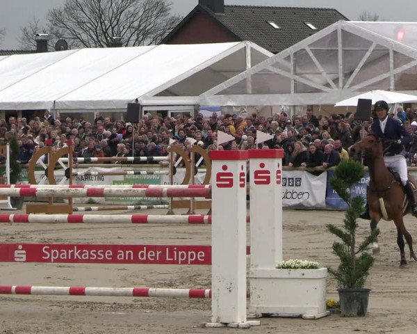 Reitturnier Werne-Lenklar 2023