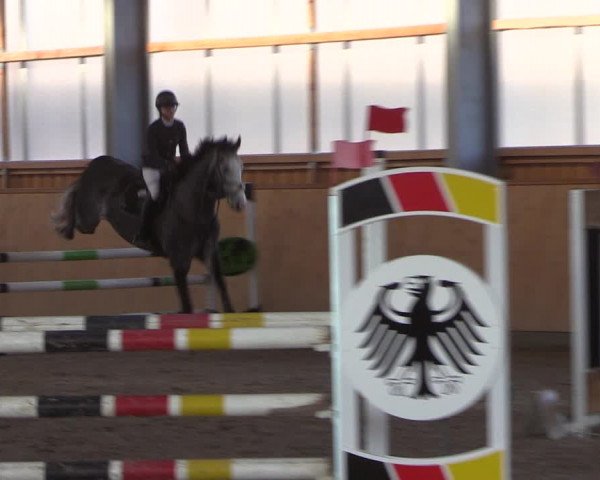 Reitturnier Polzow 2021