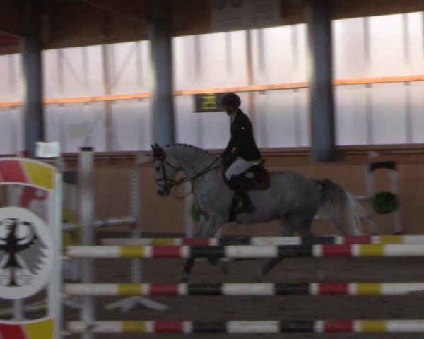 Reitturnier Polzow 2021