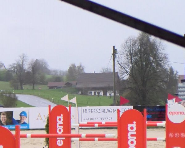 Reitturnier Wädenswil 2023