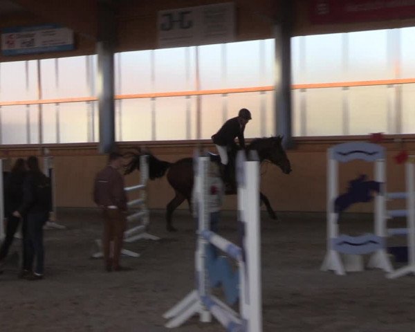 Reitturnier Polzow 2021