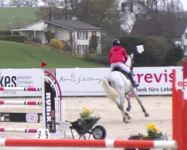 Reitturnier Wädenswil 2023