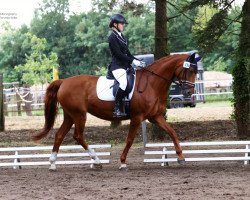 broodmare Alabama 60 (Hanoverian, 2005, from Alpaschino)
