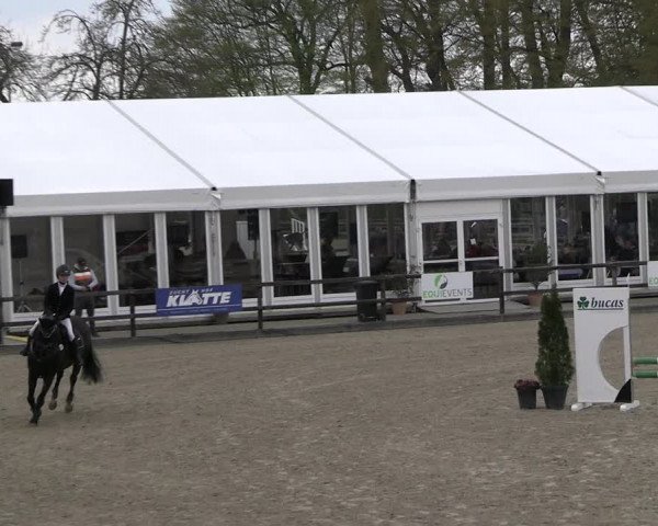 Reitturnier Klein Roscharden 2023