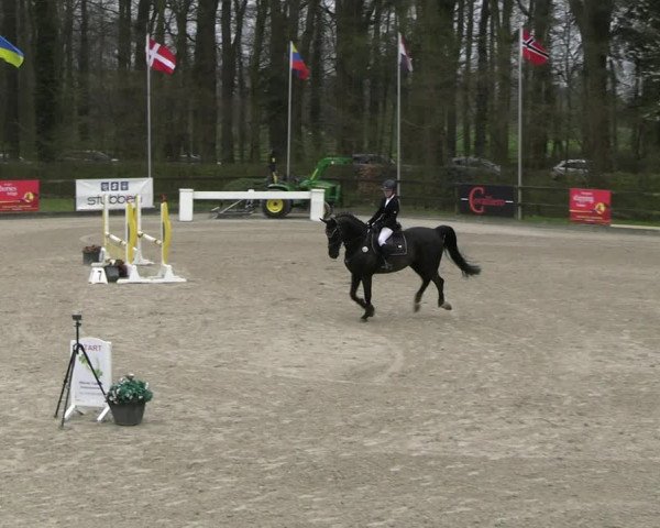 Reitturnier Klein Roscharden 2023
