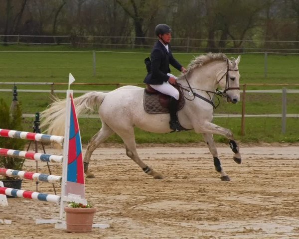 Reitturnier Wutzetz 2023