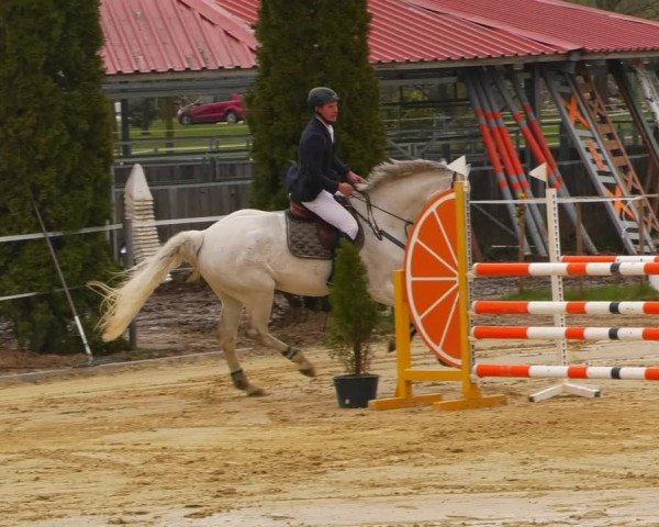 Reitturnier Wutzetz 2023