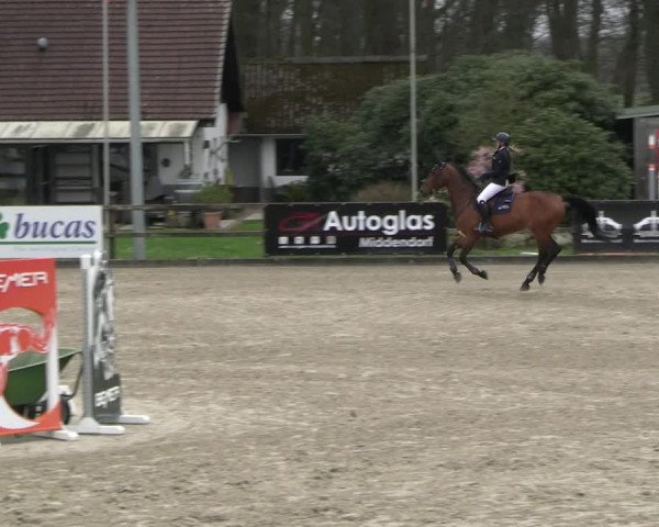 Reitturnier Klein Roscharden 2023