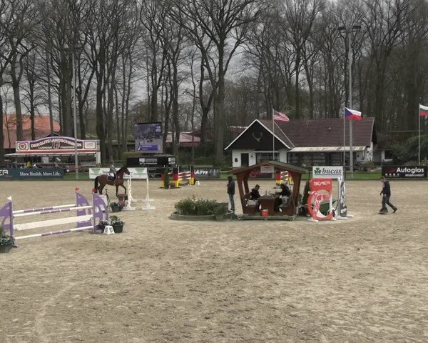 Reitturnier Klein Roscharden 2023