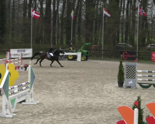Reitturnier Klein Roscharden 2023