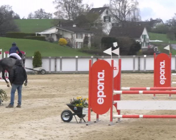 Reitturnier Wädenswil 2023