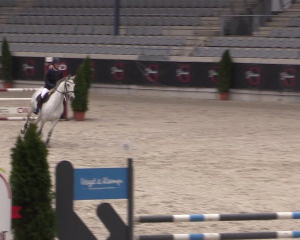 Reitturnier Aachen 2023
