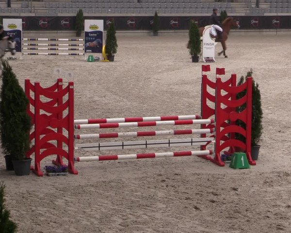 Reitturnier Aachen 2023