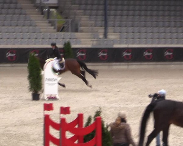 Reitturnier Aachen 2023