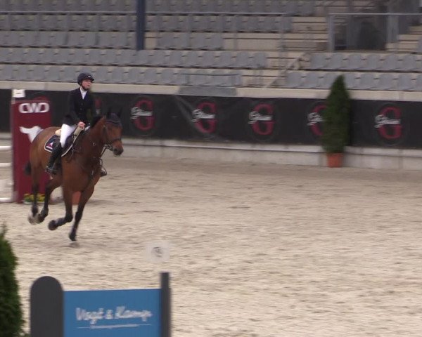 Reitturnier Aachen 2023