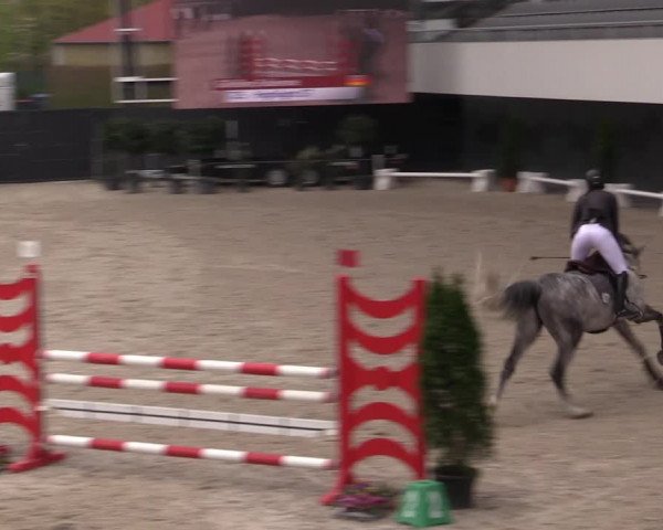 Reitturnier Aachen 2023