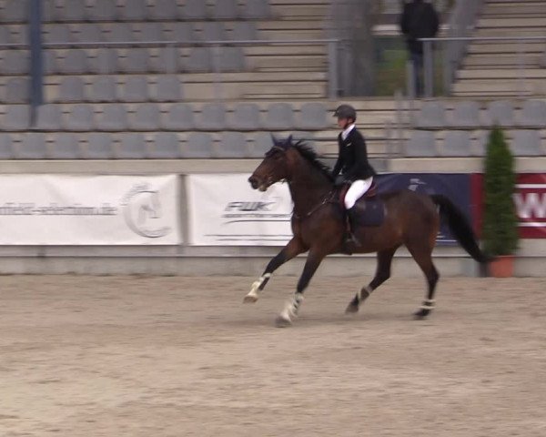 Reitturnier Aachen 2023