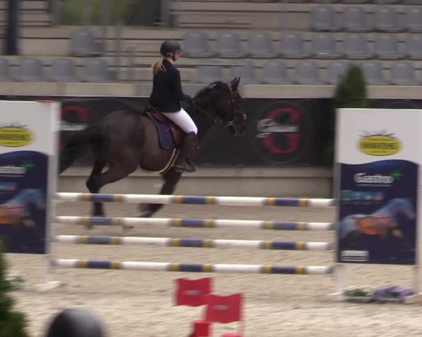 Reitturnier Aachen 2023