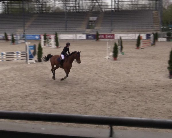 Reitturnier Aachen 2023