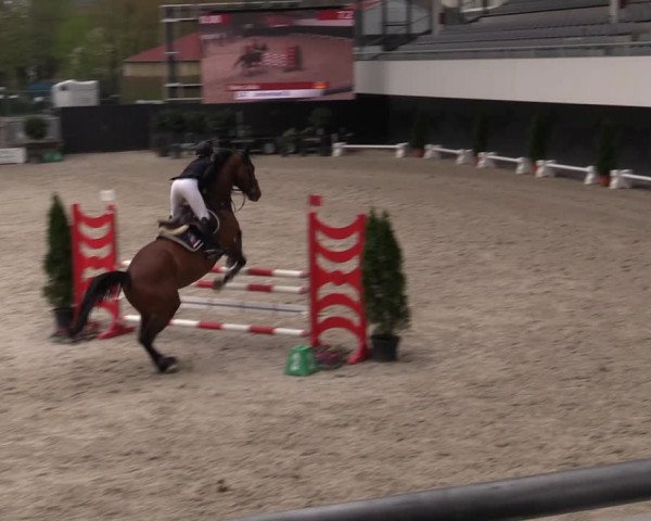 Reitturnier Aachen 2023