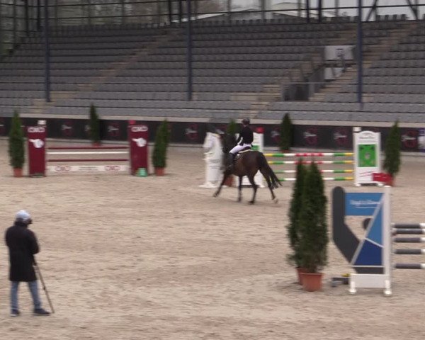 Reitturnier Aachen 2023