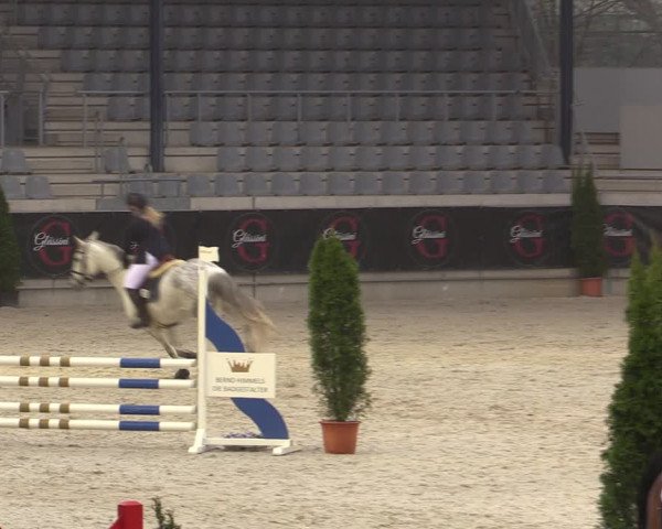 Reitturnier Aachen 2023