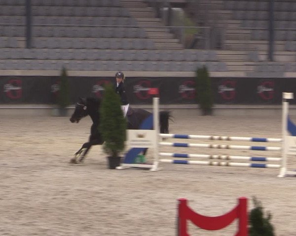 Reitturnier Aachen 2023