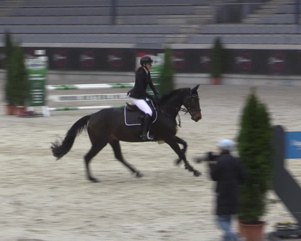 Reitturnier Aachen 2023