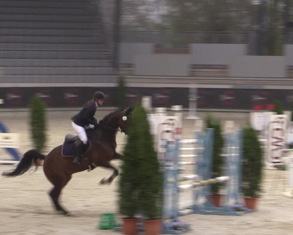 Reitturnier Aachen 2023