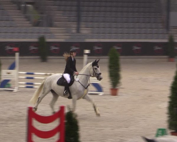 Reitturnier Aachen 2023