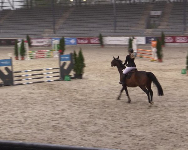 Reitturnier Aachen 2023