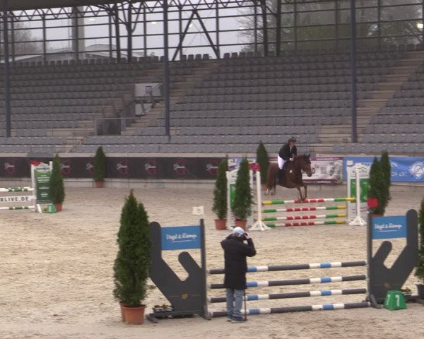 Reitturnier Aachen 2023
