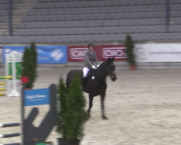 Reitturnier Aachen 2023